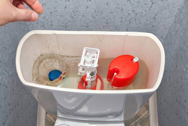 Hand down a cleanser in water flush tank toilet bowl.