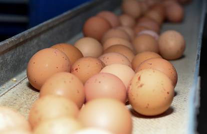 Crne prognoze proizvođača: Do Božića će cijena domaćih jaja drastično porasti zbog troškova
