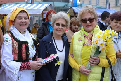 Tradicionalna javnozdravstvena kampanja Dan narcisa u Osijeku