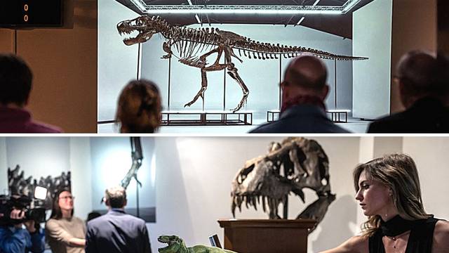Ovo je kostur strašnog T-Rexa. Prodali su ga za 5,6 milijuna €