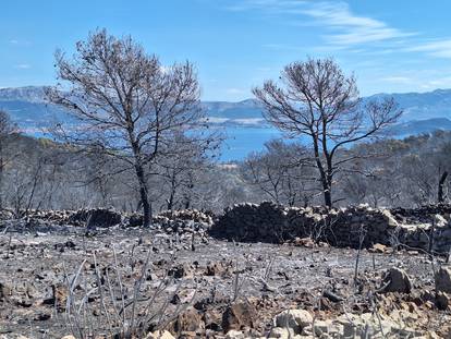 Neki dijelovi Čiova nakon požara potpuno su opustošeni