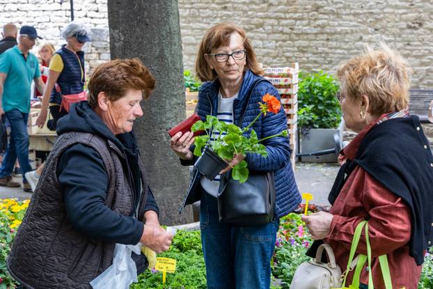 Pula: 17. sajam cvijeća Florija na Giardinima