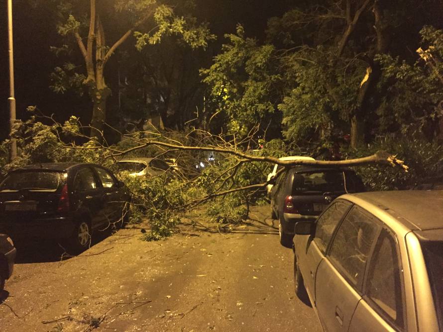 Vjetar nasukao brodove, čupao drveće, nestajalo je i struje...
