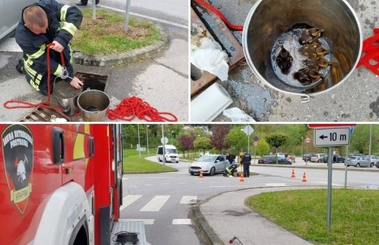 VIDEO: Krapinski vatrogasci spasili pačiće: Pustili smo ih kraj rijeke, mama ih je dočekala