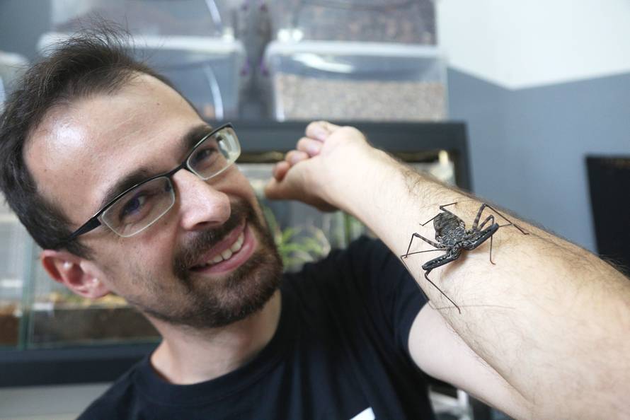 Marko je kralj tarantula: Ima ih 150, a pokrenuo je i posao...
