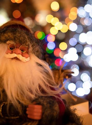 Couple lives with 350 Christmas trees