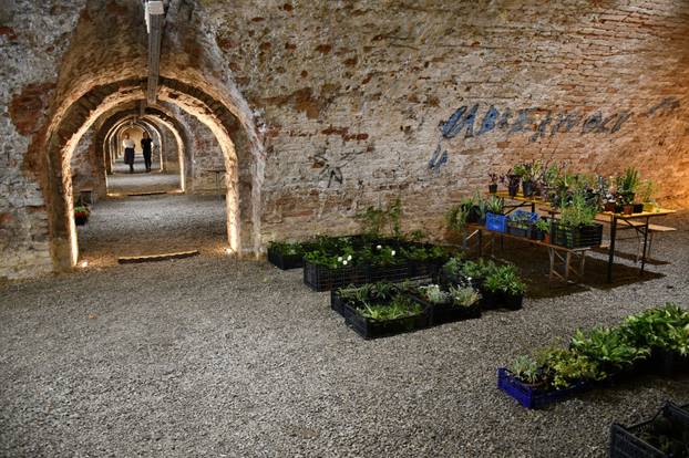 FOTO Sve je šareno i veselo! Brođane čeka sajam cvijeća