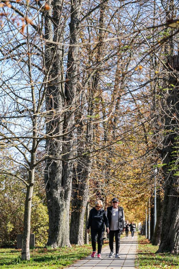 Zagreb: Psihijatrijsko groblje Vrapče ima upaljenu tek pokoju svijeću na blagdan Svih svetih