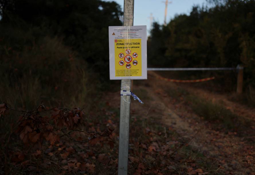 Spain mobilises military against swine fever, says contaminated sandwich could be cause