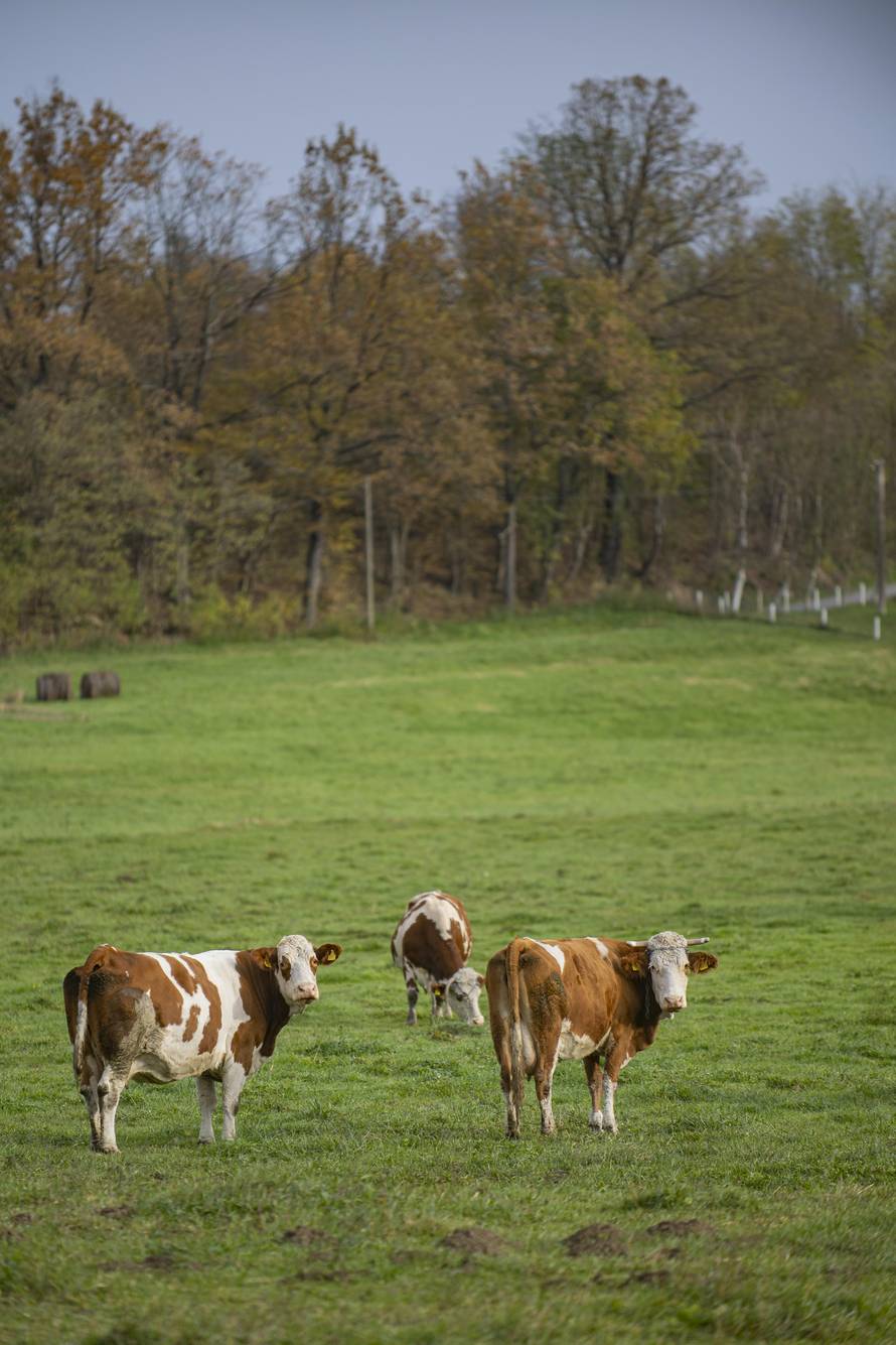 Jesenski izlet u jednu od najzelenijih destinacija Hrvatske: Vrata Papuka