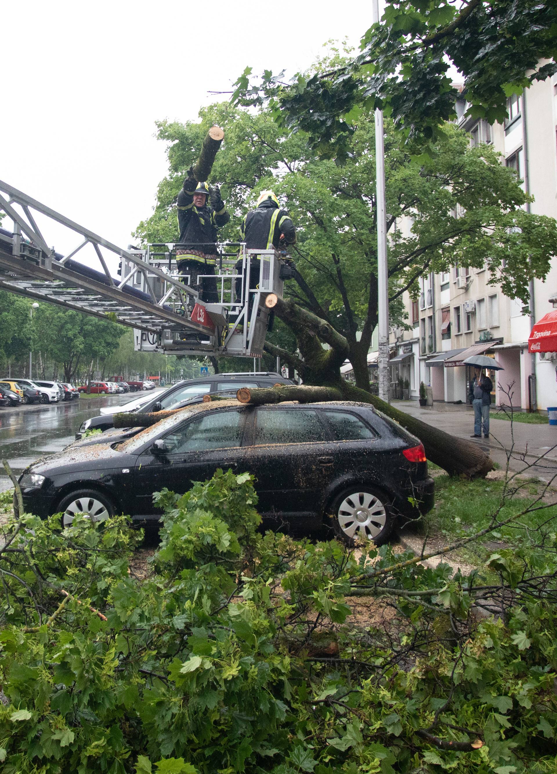 Drvo u Zagrebu palo na aute: 'Užas, samo je počelo pucati'