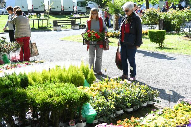 Daruvar: Sajam cvijeća, bilja i sadnica privukao mnogobrojne posjetitelje