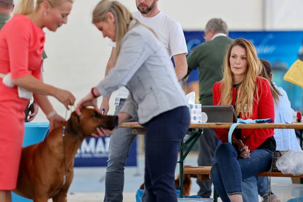 Zaton: Međunarodna izložba pasa pod nazivom CACIB Zadar 2025