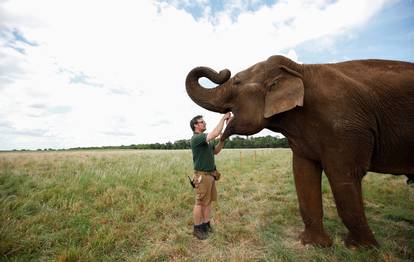 Britanski Safari park ponovno će otvoriti vrata posjetiteljima