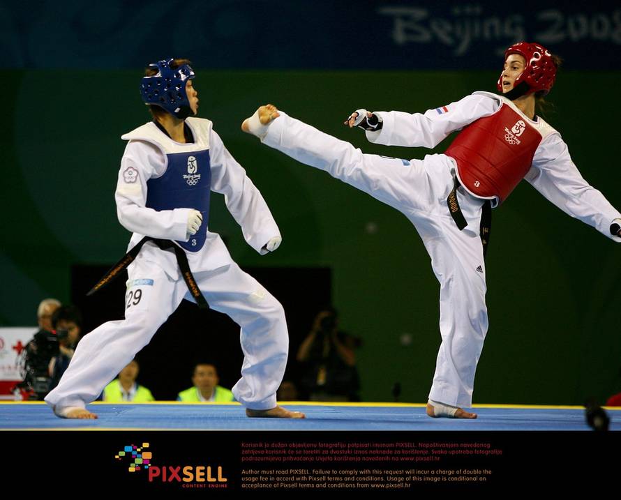 Željko Lukunić/PIXSELL