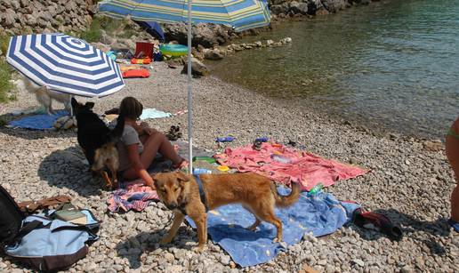 Plaže za pse: Popis lokacija na kojima su ljubimci dobrodošli 