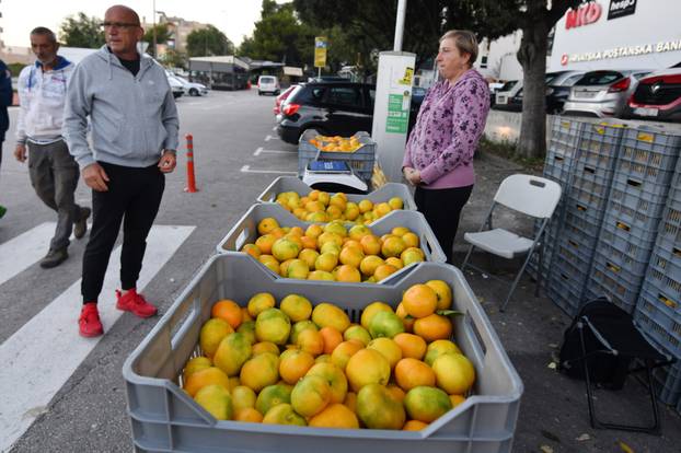Šibenik: Mandarine iz doline Neretve prodaju se na ulicama grada