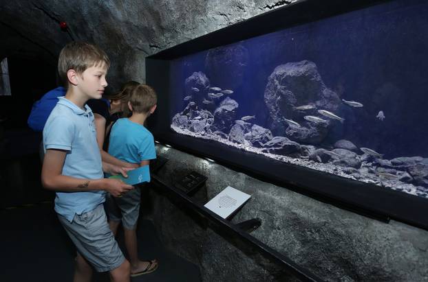 Slatkovodni akvarij Aquatika Karlovac, jedna je od destinacija izletnika