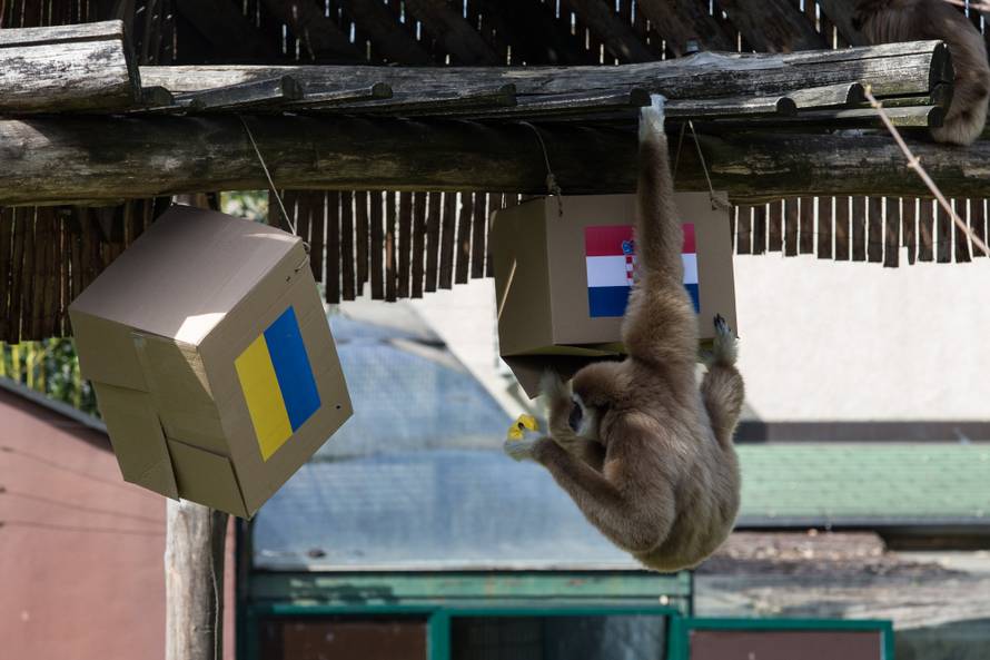 Gibon Kent prognozira: Tko će dobiti - Ukrajina ili Hrvatska?