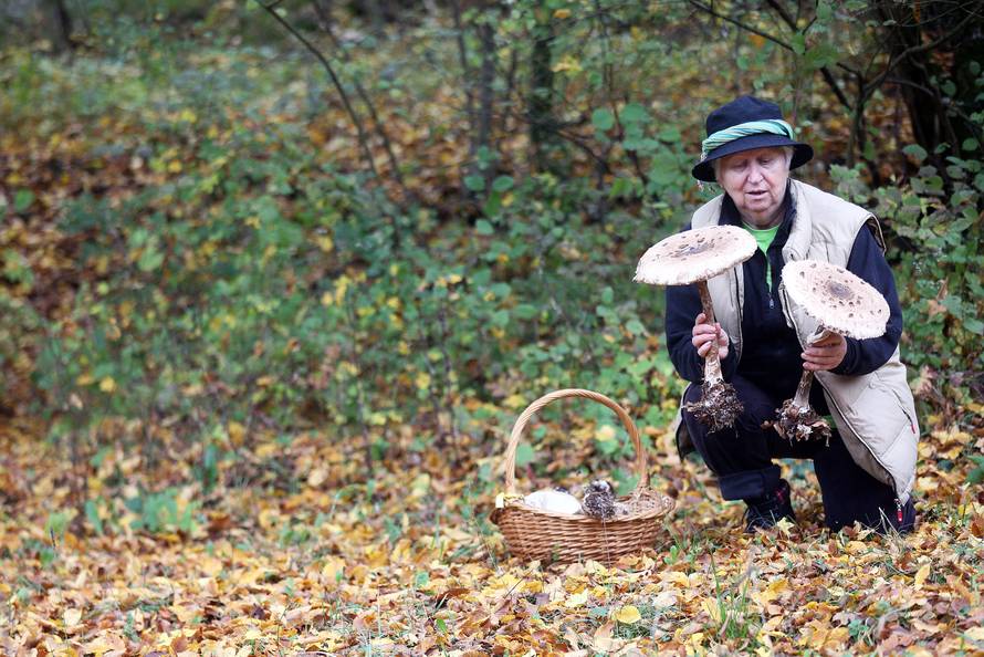 'Gljive mogu biti kobne. Spasila sam već najmanje 40 života... '