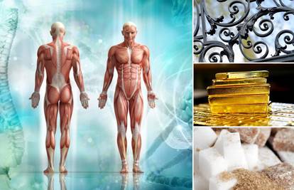 U ljudskom tijelu ima ugljika za tisuću olovaka, a u kosi i zlata