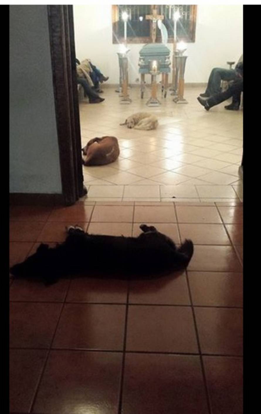 Facebook/Patricia Urrutia