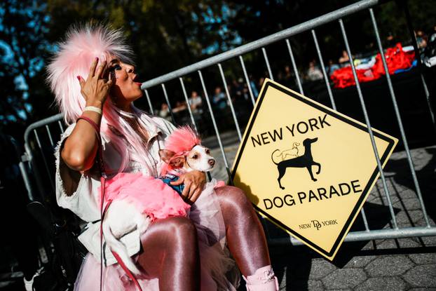 Tompkins Square Halloween Dog Parade in New York