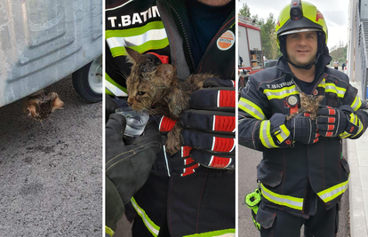 Makarski vatrogasci u akciji: Spasili su mačića kojemu je glava zapela u kontejneru