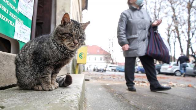 Petrinja: Posljedice jutrošnjeg potresa vidljive su na gradskim ulicama