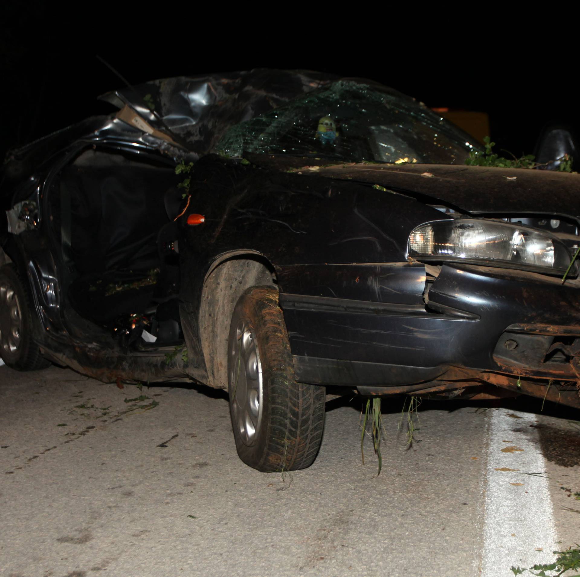 Poginuo vozač: Sletio s ceste i svom se silinom zabio u drvo