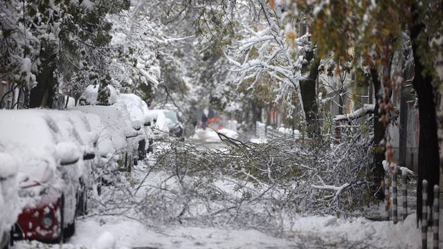 Fallen tree branches lie on the ground following heavy snowfall in Sofia