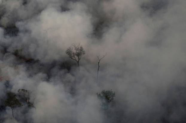 Smoke billows during a fire in an area of the Amazon rainforest near Porto Velho, Rondonia