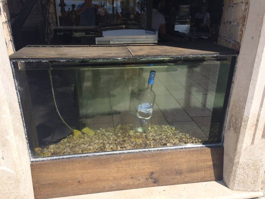 Pijani Australac(21) razbio je akvarij vrijedan 44 tisuće kuna