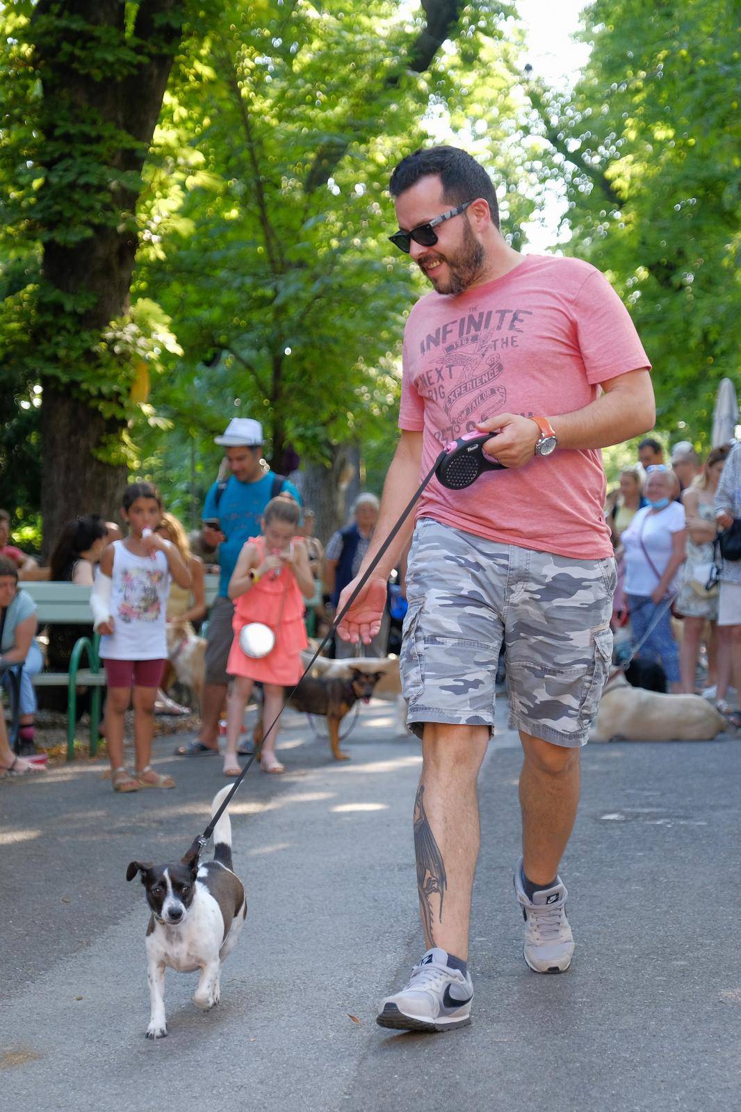 Tradicionalna revija pasa mješanaca u sklopu  Ljeta na Štrosu