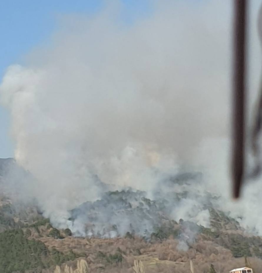 Sinj: Planula je gusta borova šuma, dim se proširio posvuda