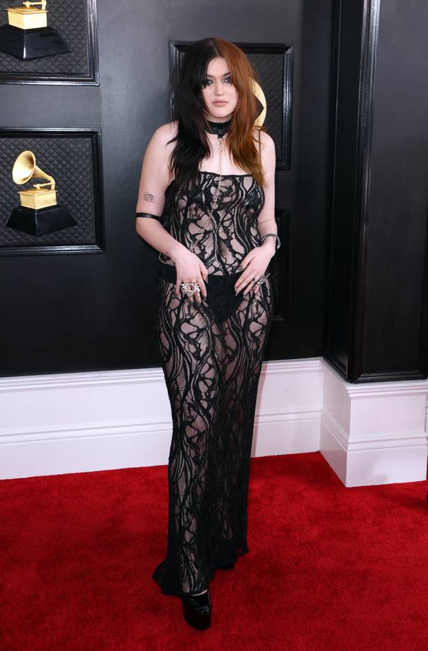 Premiere ceremony of the 65th Annual Grammy Awards in Los Angeles