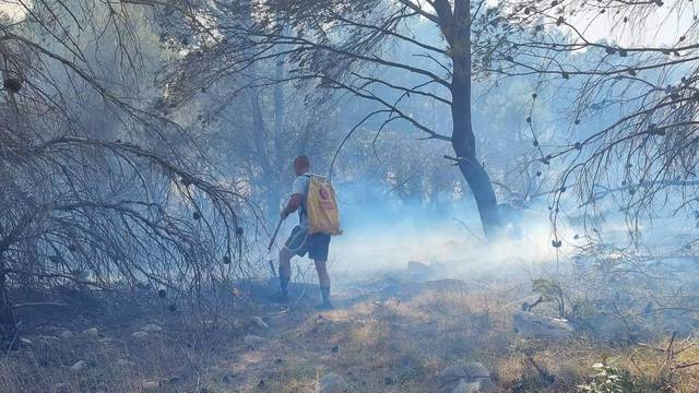 Slovački vatrogasac na odmoru na Viru gasio požar: 'Odmah smo krenuli pomoći Hrvatima'
