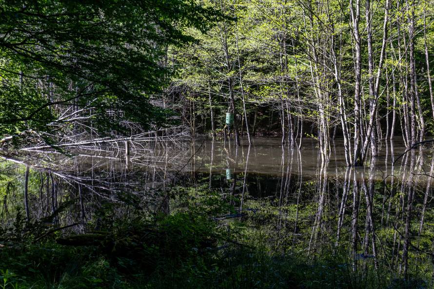 Ilegalno odlagalište otpada u Dubravi Pušćanskoj