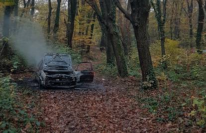 Piroman i lopov: Krade Golfove pa ih onda pali na Črnomercu...