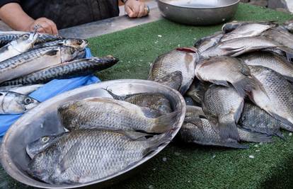 S tržišta se povlači riba, u njoj pronađen nametnik: 'Može biti zarazan za ljude na dva načina'