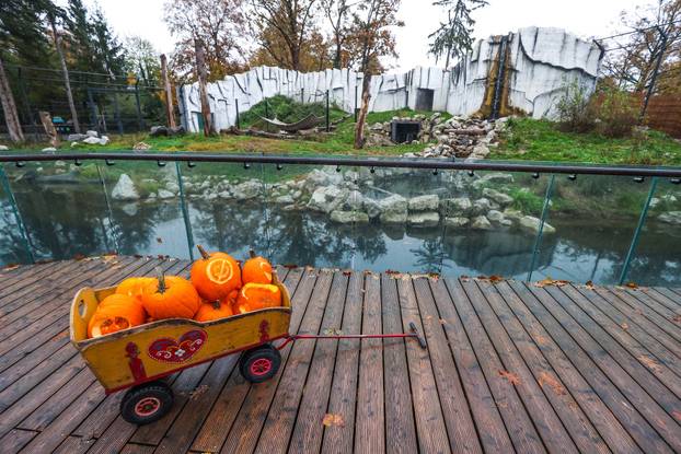 Zagreb: U Zoološkom vrtu organizirana podjela slasnih bundeva životinjama