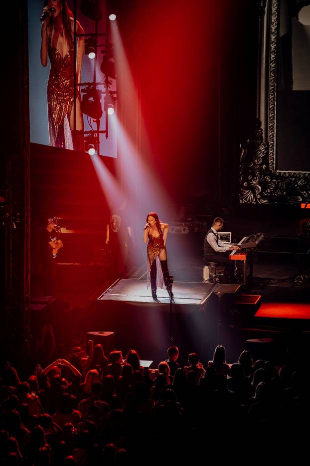 FOTO Severina u izazovnom izdanju oduševila obožavatelje na trosatnom spektaklu u Sisku