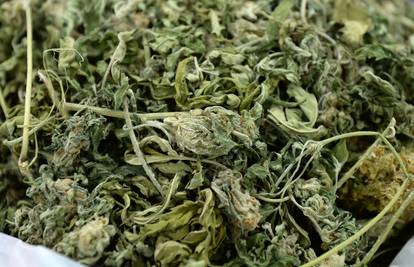 Makarska: U stanu muškarca  (43) našli kilogram marihuane