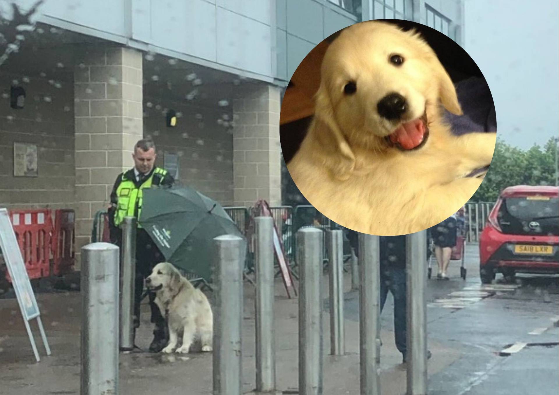 Hit fotka: 'Pa nikad ne znaš kako se psi osjećaju zbog kiše'