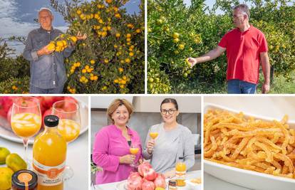 'Otkupna cijena za kilogram mandarina je mizerna, ali se trudimo iz svega izvući najbolje'