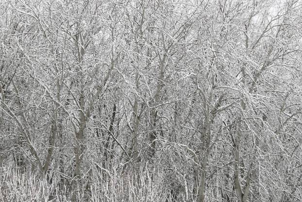 Snježni pokrivač je zabijelio je Osijek
