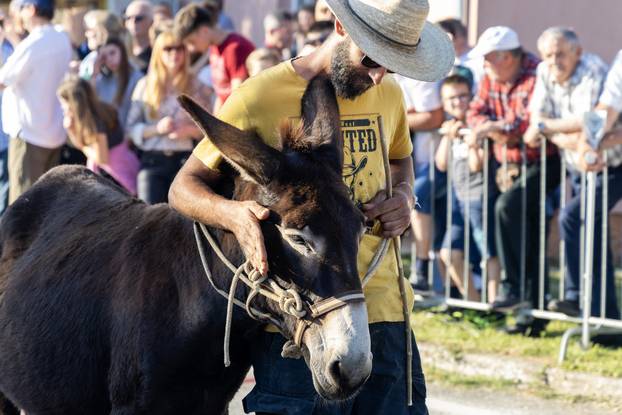 Pula: Održana je tradicionalna 55. Trka na tovari