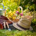 Dovršite ove vrtlarske zadatke do kraja kolovoza kako biste se pripremili za kraj ljetne sezone