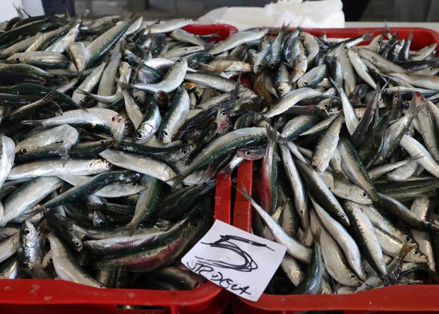 Šibenik: Poskupljenje plavog dizela još se nije odrazilo na cijene u ribarnici