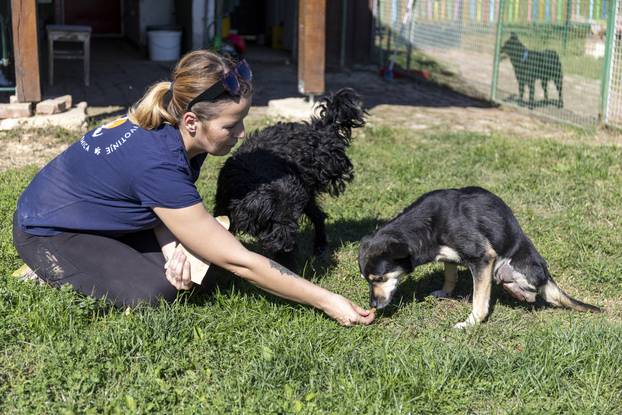 Brezik Našički: Udruga Farmica spašava velik broj životinja